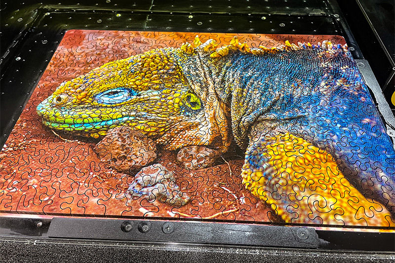 Curiousity Puzzles_mobile banner