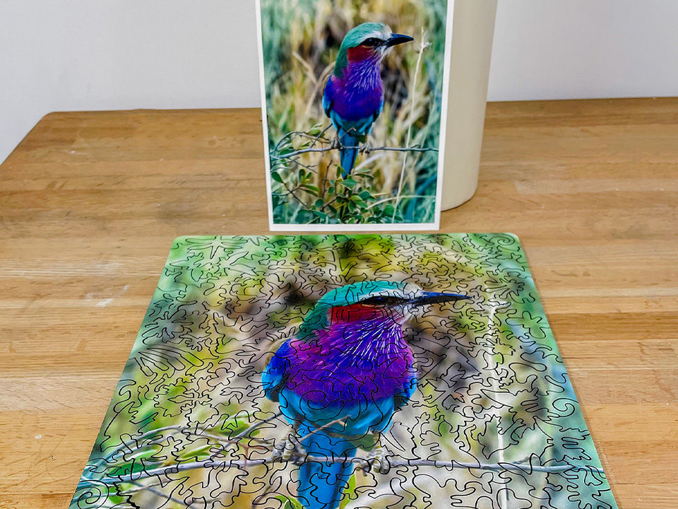 Curiousity Puzzles_Slider Image_hummingbird