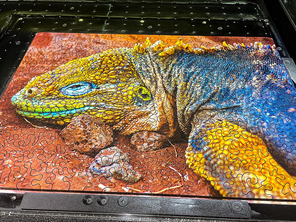 Curiousity Puzzles_Slider Image_iguana