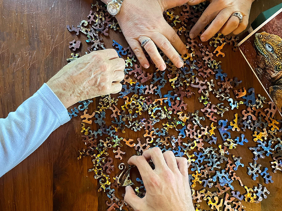Curiosity Puzzles_Slider Image_puzzle play