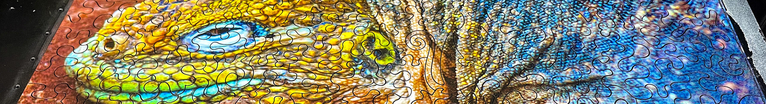 Curiousity Puzzles_Desktop Banner Image