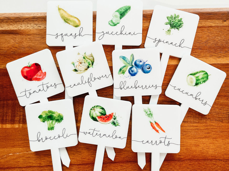 Knotty_Slider Image_fruit and veg