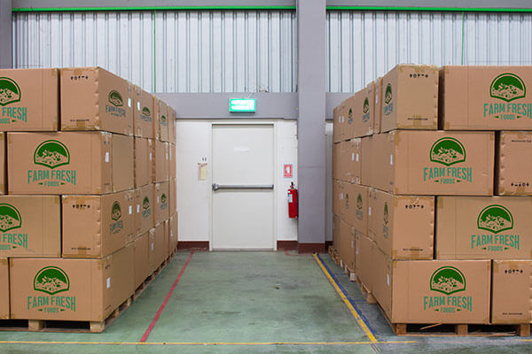 Impresión sobre Cartón