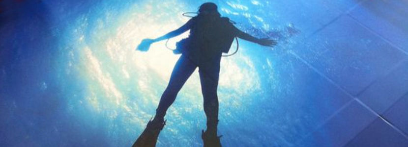 realistic floor wrap