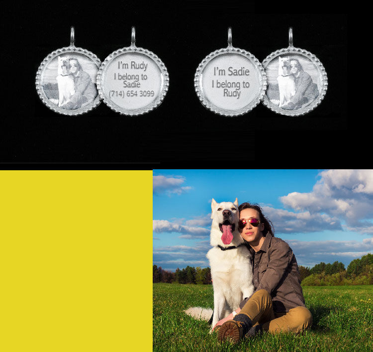 Perro mascota con placa y joyería de propietario 