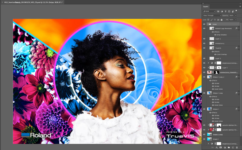 TrueVIS VG2 photoshop design