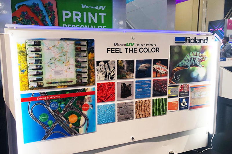 Feel the color wall roland dga UV print