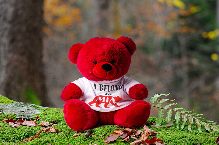 custom bear t shirt