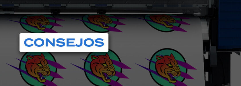 Consejos