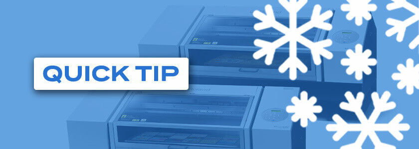 5 Holiday Trends Banner