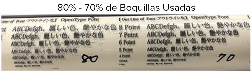 Paso 6
