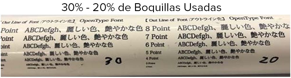 Paso 6