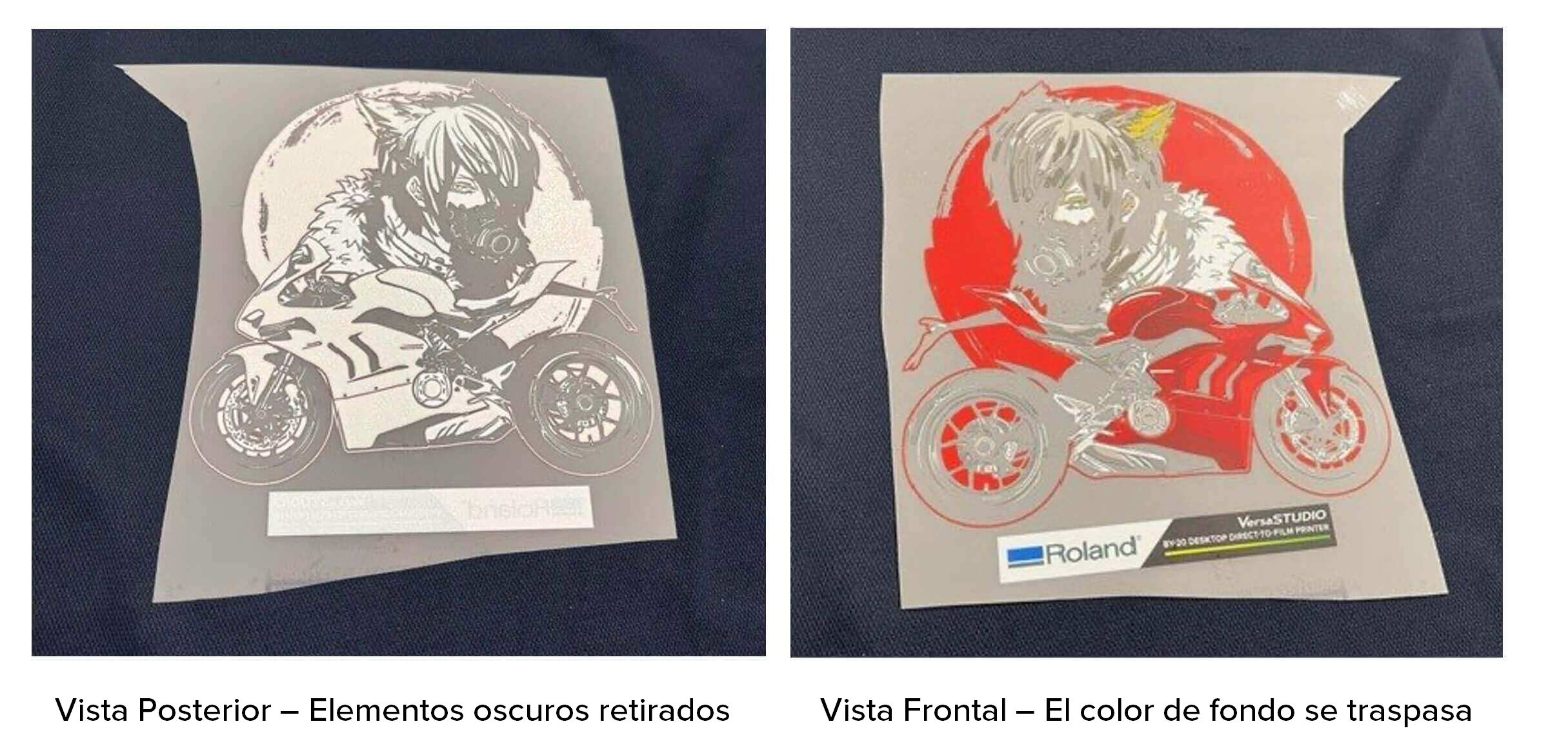 Imagen 02
