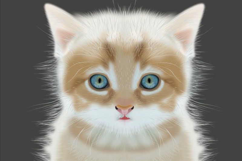 2013 CorelDRAW Boopalan M, India (Student)