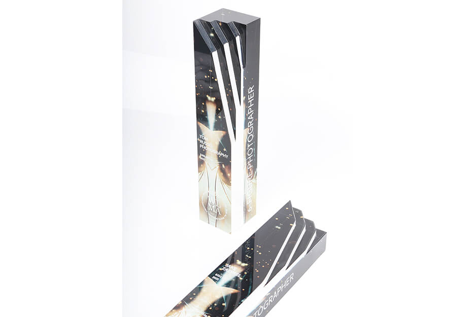 Two rectangular awards, one standing on end, one lying down