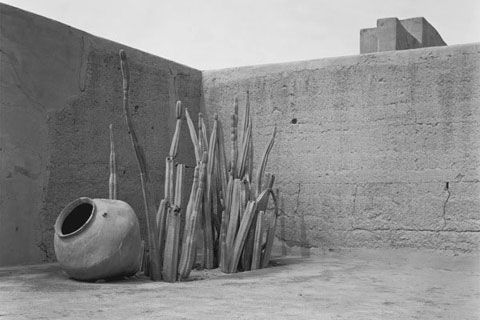 Lenny Eiger thumbnail