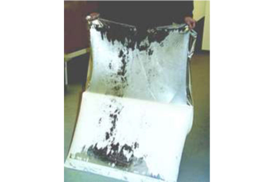 Dorothy Simpson Krause