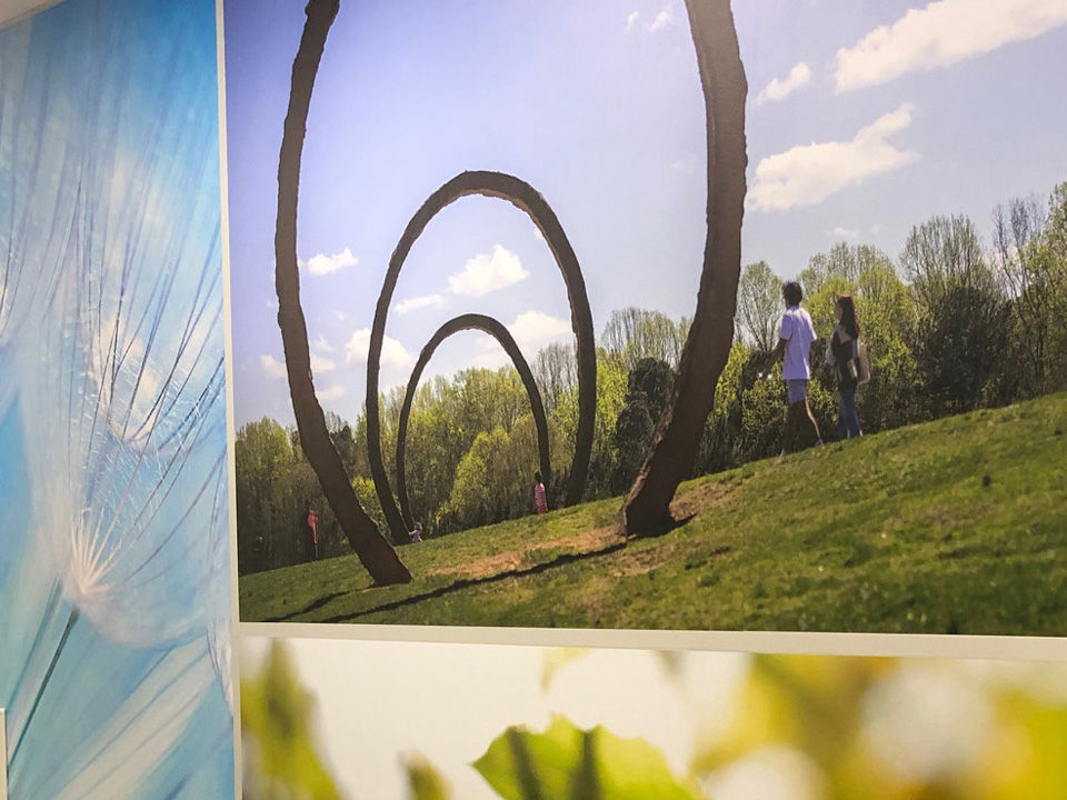 overstreet signs_Slider Image_cardiology