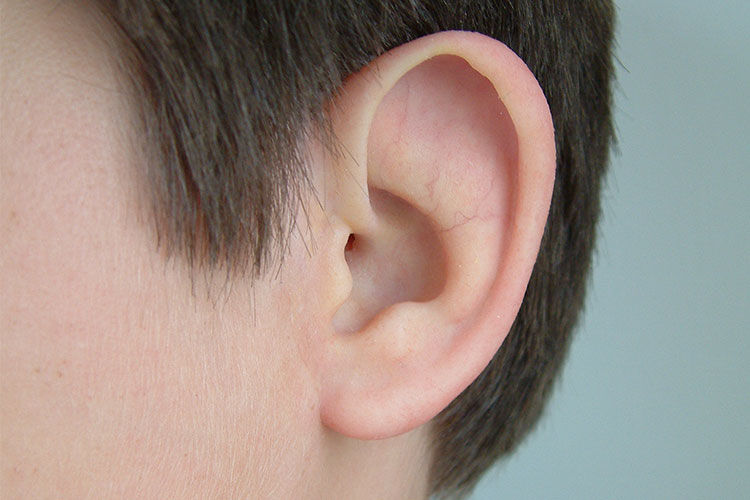 The Medical Arts Prosthetics Clinic thumbnail