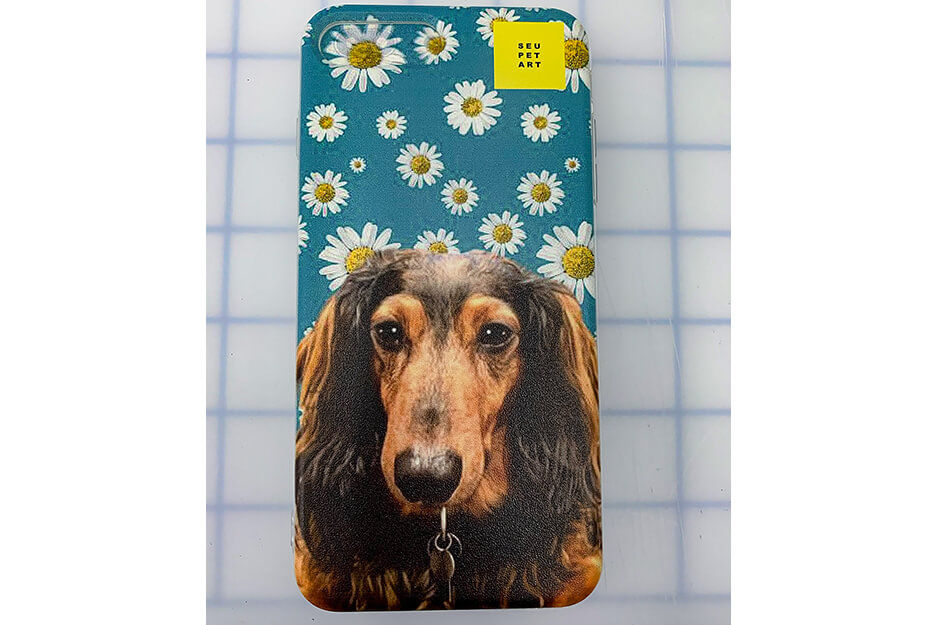 Phone case printed with daisies and close-up of long haired dachshund face