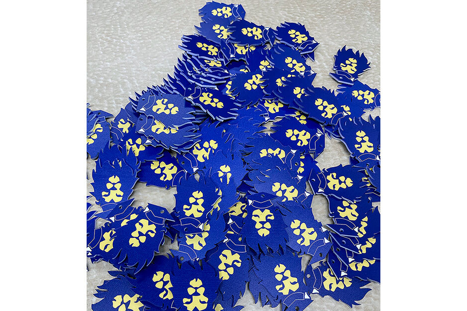 Loose pile of UV-printed chips with lion faces wearing graduation caps