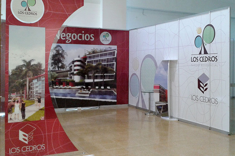 Dream Signs thumbnail