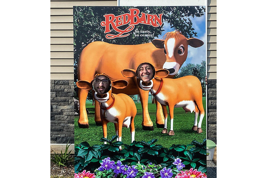 Board with graphics of cows and holes cut in it for people to put their faces through.