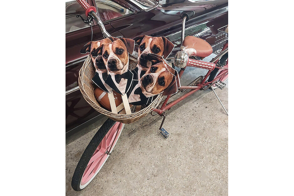 Bicicleta con cesta de manillar llena de recortes de rostros de perros sobre palitos