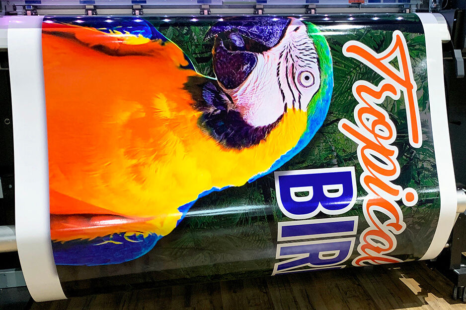 Colorful tropical bird graphics printing on a Roland DG TrueVIS VG2 wide-format printer/cutter.