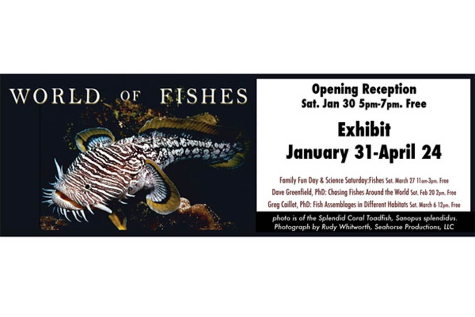 Trucksis Flag & Banner World of Fishes print