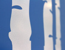 cut vinyl wall graphics