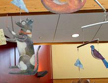 humane society makeover