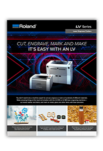 Roland LV-290 Laser Engraver - 25 x 18