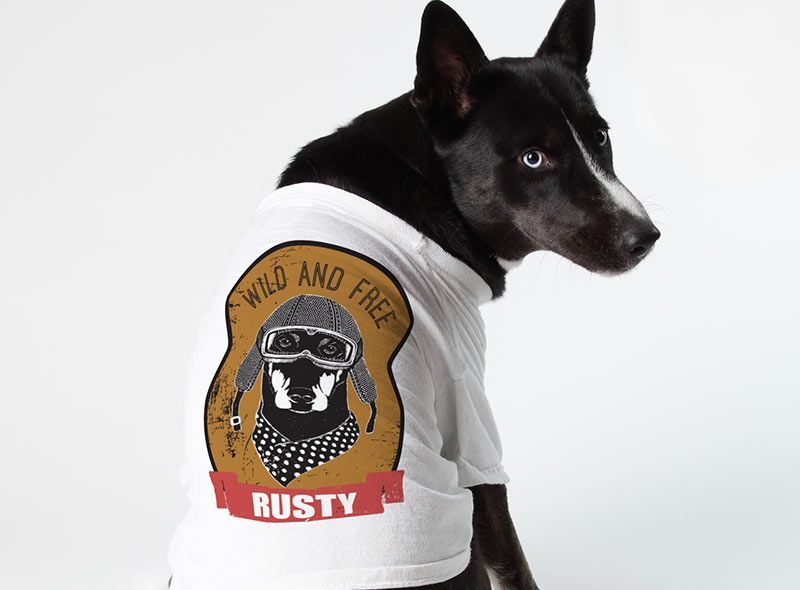 Sublimate onto Pet Accessories