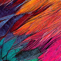 Feather texture printed on an LEF2-300