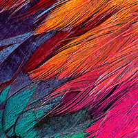 Textura de plumas impresa con la LEF2-300