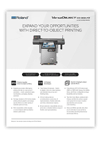 VersaOBJECT CO-300i Datasheet