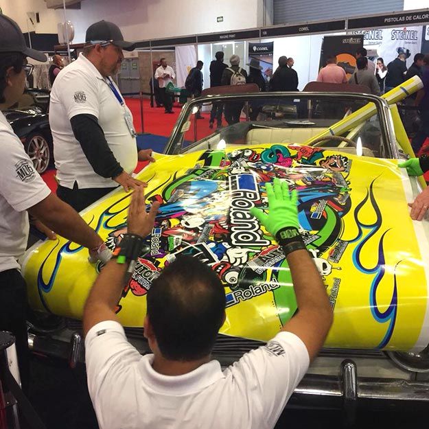 Born to Wrap - Mexico